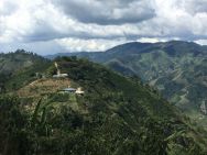 Colombia Finca El Mirador Pink Bourbon - 12oz Bag