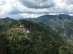 Colombia Finca El Mirador Pink Bourbon - 12oz Bag