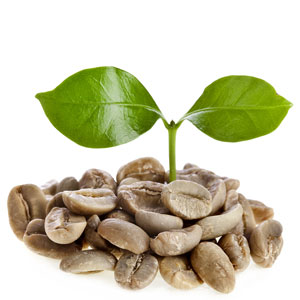 Green Coffee Beans